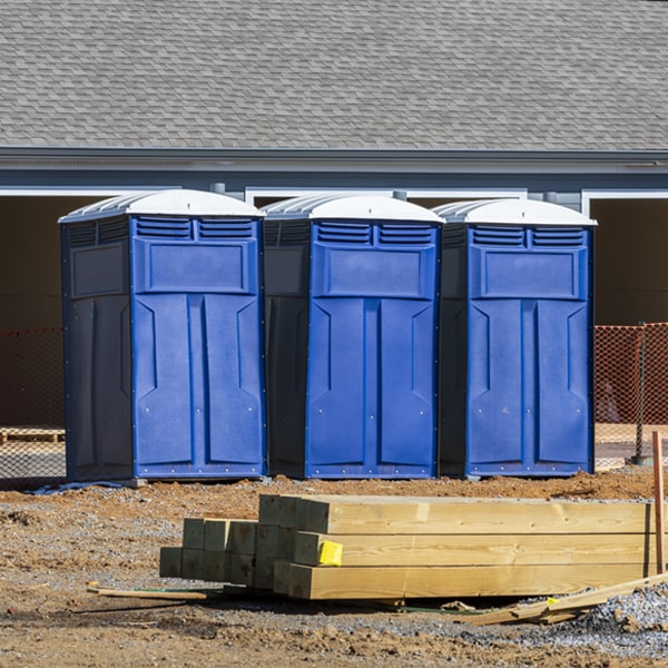 how often are the porta potties cleaned and serviced during a rental period in Callao VA